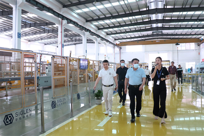 別墅家用電梯常用品牌較好？辛格林電梯是超好！