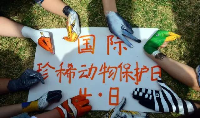 國際珍稀動物保護日